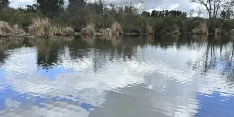 Sepulveda Basin Wildlife Reserve Explore Nature & Birdwatching in Sherman Oaks